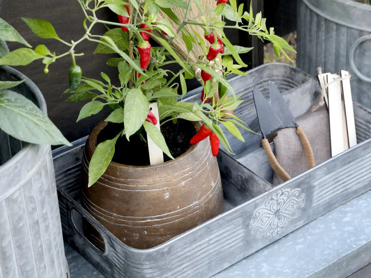 Barnabé - Plateau en zinc avec 4 compartiments Chic Antique