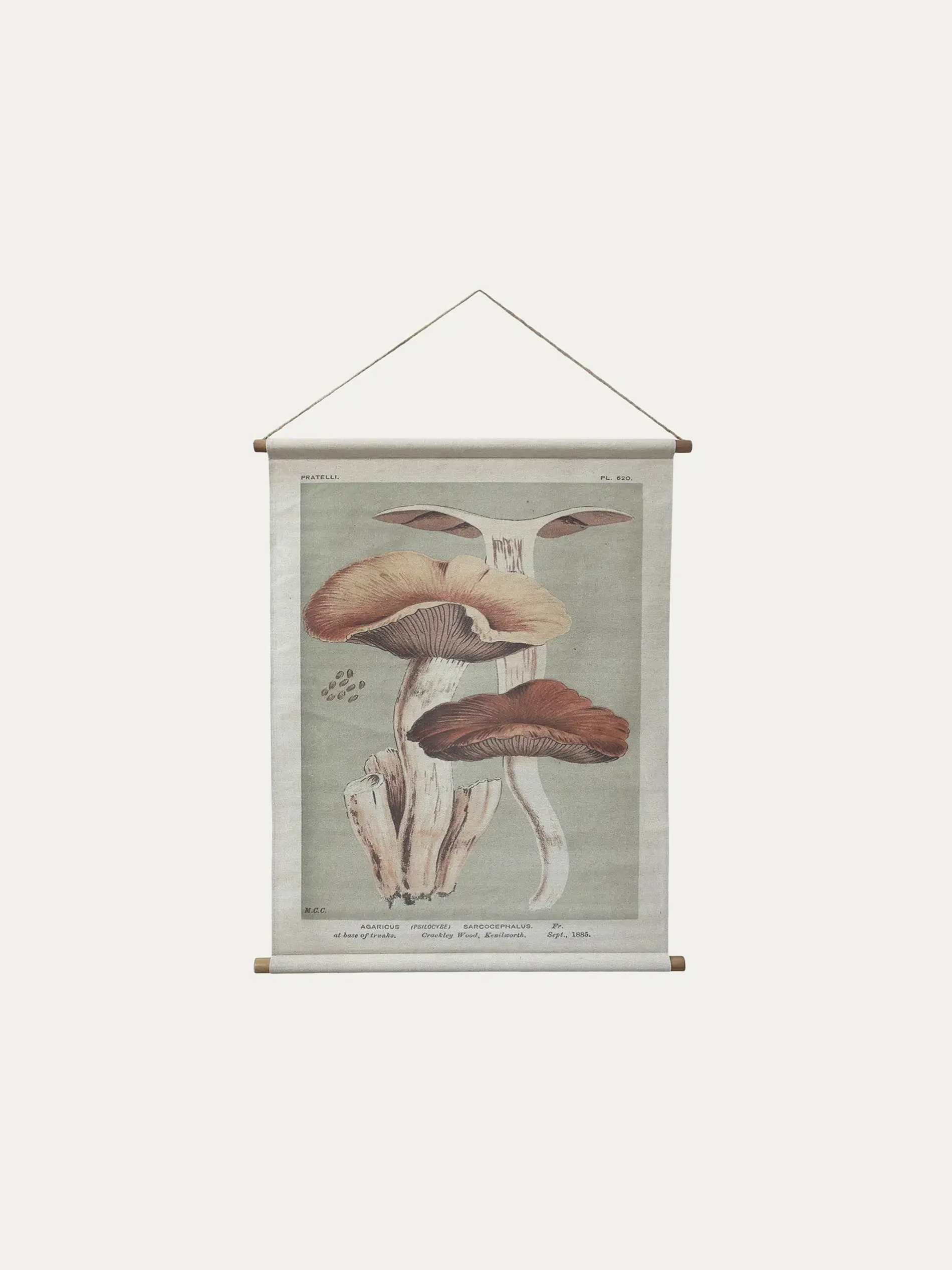 Toile à suspendre champignon 97x76 cm